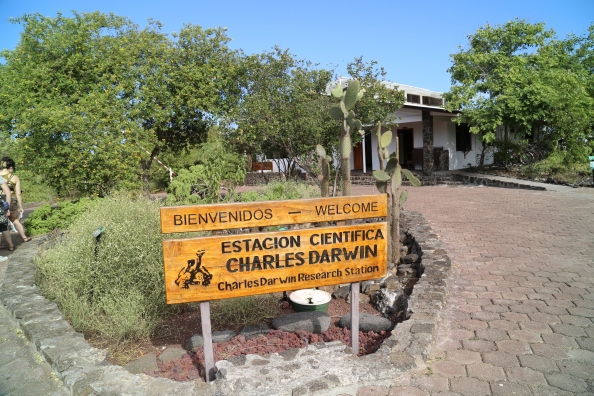 We made it!  Charles Darwin Research Station, Galapagos